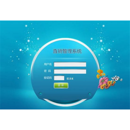 友拓軟件 一站式在線咨詢，開啟高效系統開發之旅